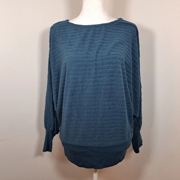 Saturday Sunday Anthropologie Stripe Ribbed Blue Hacci Sweater Size Small Shirt - Picture 3 of 8